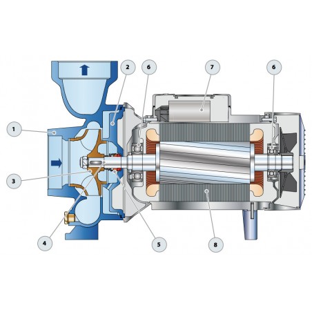 Pompe a eau Pedrollo HF4 0,75 kW jusqu'à 36 m3/h triphasé 380V