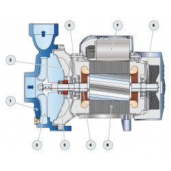 Pompe a eau Pedrollo NGA centrifuge de 9 à 15 m3/h monophasé 220V