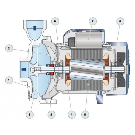 Pompe a eau Pedrollo NGAm1APRO 0,75 kW jusqu'à 21 m3/h monophasé 220V