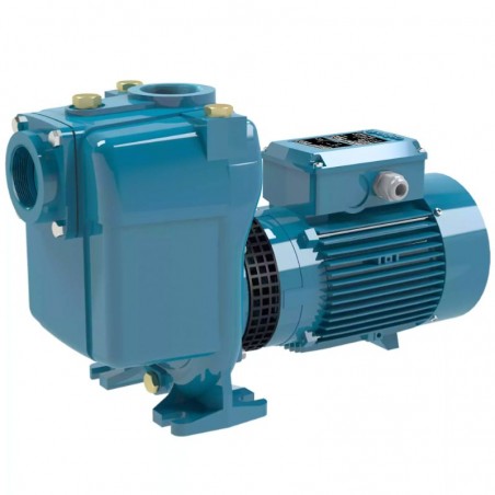 Pompe a eau Calpeda 01RAM 0,44 kW centrifuge à roue ouverte monophasé 220V