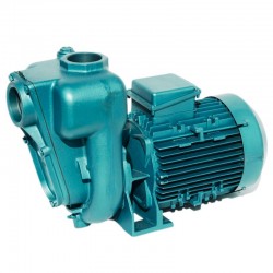 Pompe a eau Calpeda 02RAM 1,5 kW à roue ouverte jusqu'à 27 m3/h monophasé 220V