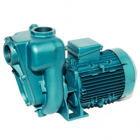 Pompe a eau Calpeda 02RAM 1,5 kW à roue ouverte jusqu'à 27 m3/h monophasé 220V