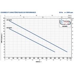 Pompe de relevage Pedrollo BC jusqu'à 39 m3/h monophasé 220V