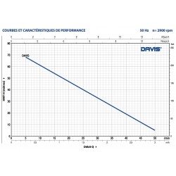Pompe immergée 4" Pedrollo Davis de 1 à 2 m3/h monophasé 220V