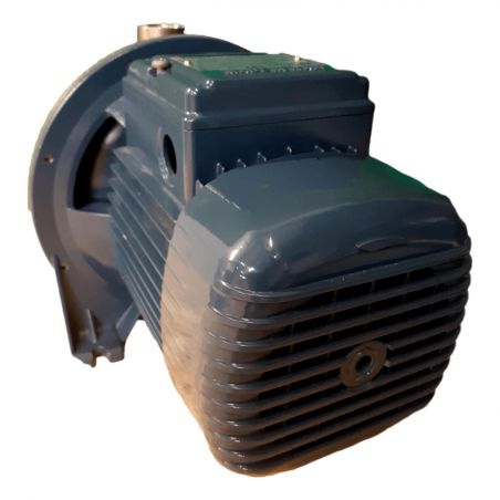 Pompe a eau Pedrollo CP150 ST4 0,75 kW jusqu'à 7,2 m3/h triphasé 380V