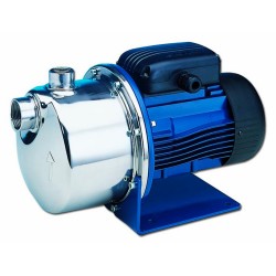 Pompe a eau Lowara BG autoamorçante monophasé 220V