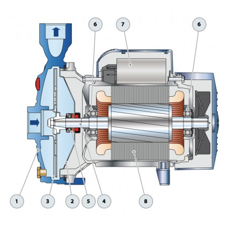 Pompe a eau Pedrollo CP130 0,37 kW jusqu'à 4,8 m3/h triphasé 380V
