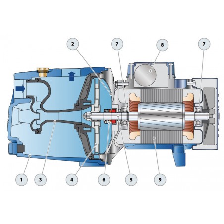 Pompe a eau Pedrollo JSWM1A 0,55 kW jusqu'à 3,6 m3/h monophasé 220V