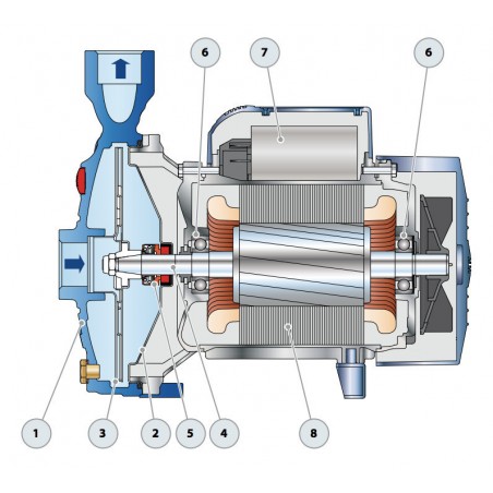 Pompe a eau Pedrollo CP158 0,75 kW jusqu'à 4,8 m3/h triphasé 380V