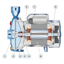 Pompe a eau Pedrollo CP170M 1,10 kW jusqu'à 9,6 m3/h triphasé 380V