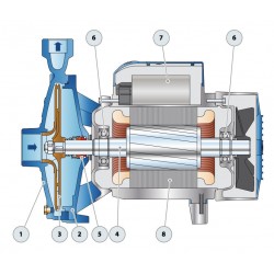 Pompe a eau Pedrollo CPm160B 1,50 kW jusqu'à 13,2 m3/h monophasé 220V