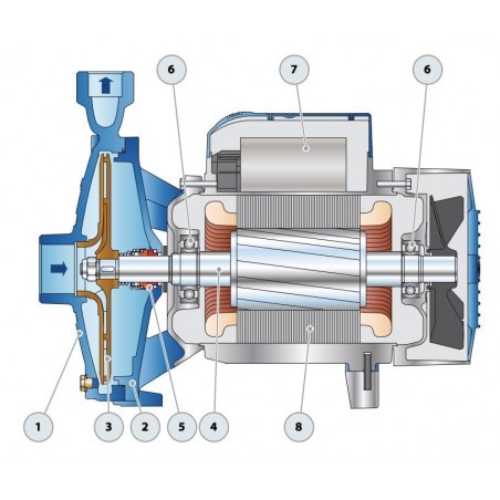 Pompe a eau Pedrollo CP160B 1,50 kW jusqu'à 13,2 m3/h triphasé 380V