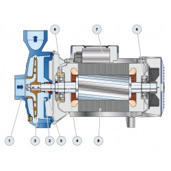 Pompe a eau Pedrollo CP250A 11 kW jusqu'à 54 m3/h triphasé 380V