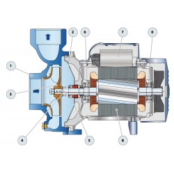 Pompe a eau Pedrollo HF70B 1,50 kW jusqu'à 18 m3/h triphasé 380V