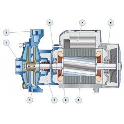 Pompe a eau Pedrollo 2CP40200A 11 kW jusqu'à 27 m3/h triphasé 380V