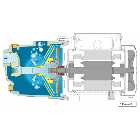 Pompe a eau Calpeda NGLM280 0,55 kW fonte jusqu'à 3,2 m3/h monophasé 220V