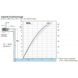 Pompe a eau Calpeda NGLM3100 0,65 kW fonte jusqu'à 3,2 m3/h monophasé 220V
