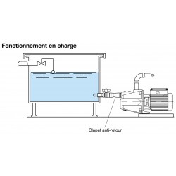 Pompe a eau Calpeda NG522 1,10 kW fonte de 0,5 à 9,5 m3/h triphasé 380V