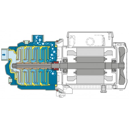 Pompe a eau Calpeda MXAM205 0,75 kW inox jusqu'à 5 m3/h monophasé 220V