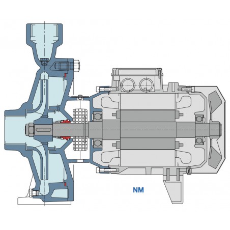 Pompe a eau Calpeda NM12A 4 kW taraudée de 6,6 à 16,8 m3/h triphasé 380V