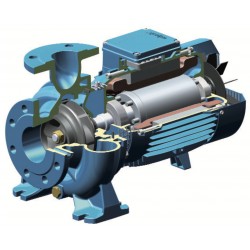 Pompe a eau Calpeda NM5025B 15 kW à brides de 24 à 66 m3/h triphasé 380V