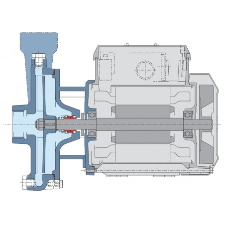 Pompe a eau Calpeda C22 0,55 kW à roue ouverte de 1,5 à 6,6 m3/h triphasé 380V
