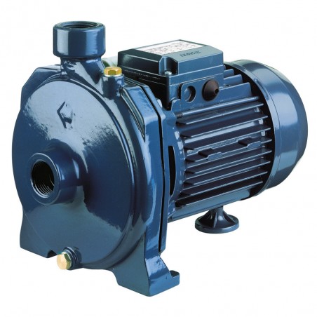 Pompe a eau Ebara CMAI100T 0,75 kW jusqu'à 5,7 m3/h triphasé 380V