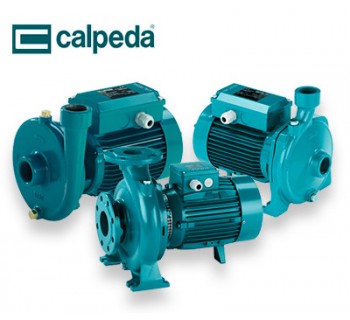 Pompe centrifuge CALPEDA monophasé 220V