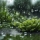 recuperation-et-usages-des-eaux-pluviales